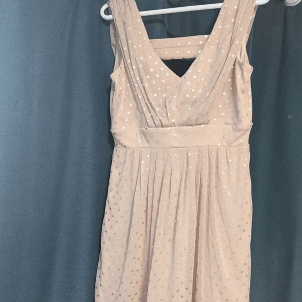 Elegant Blush Pink Sleeveless Dress